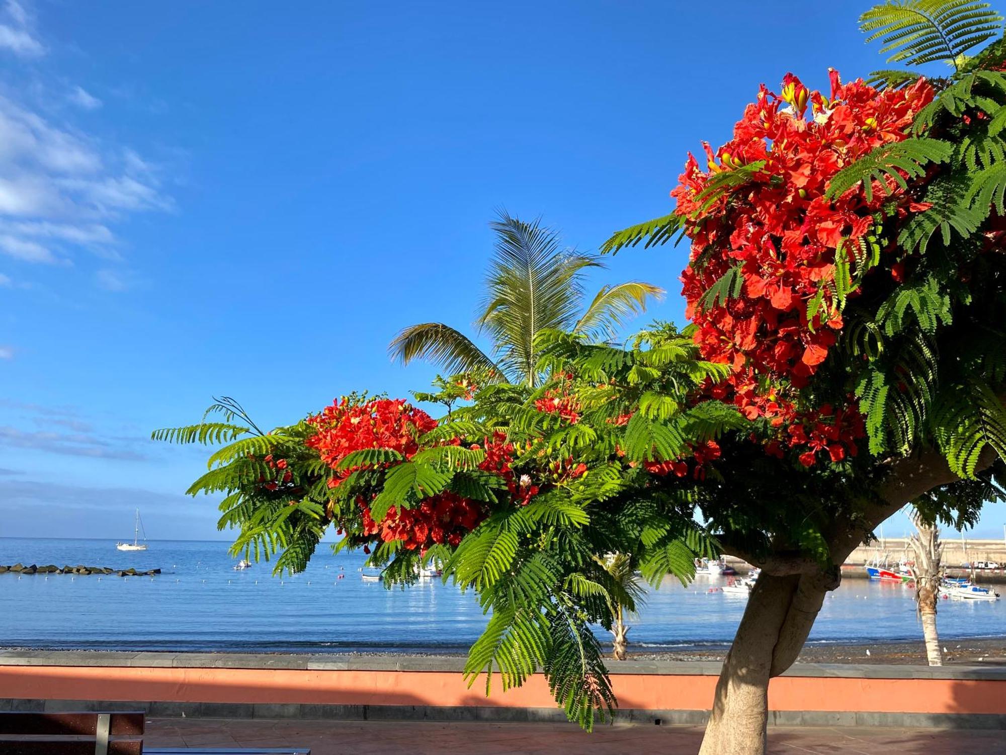 Casa Antonio - Apartamento Orion Playa de San Juan  Zewnętrze zdjęcie