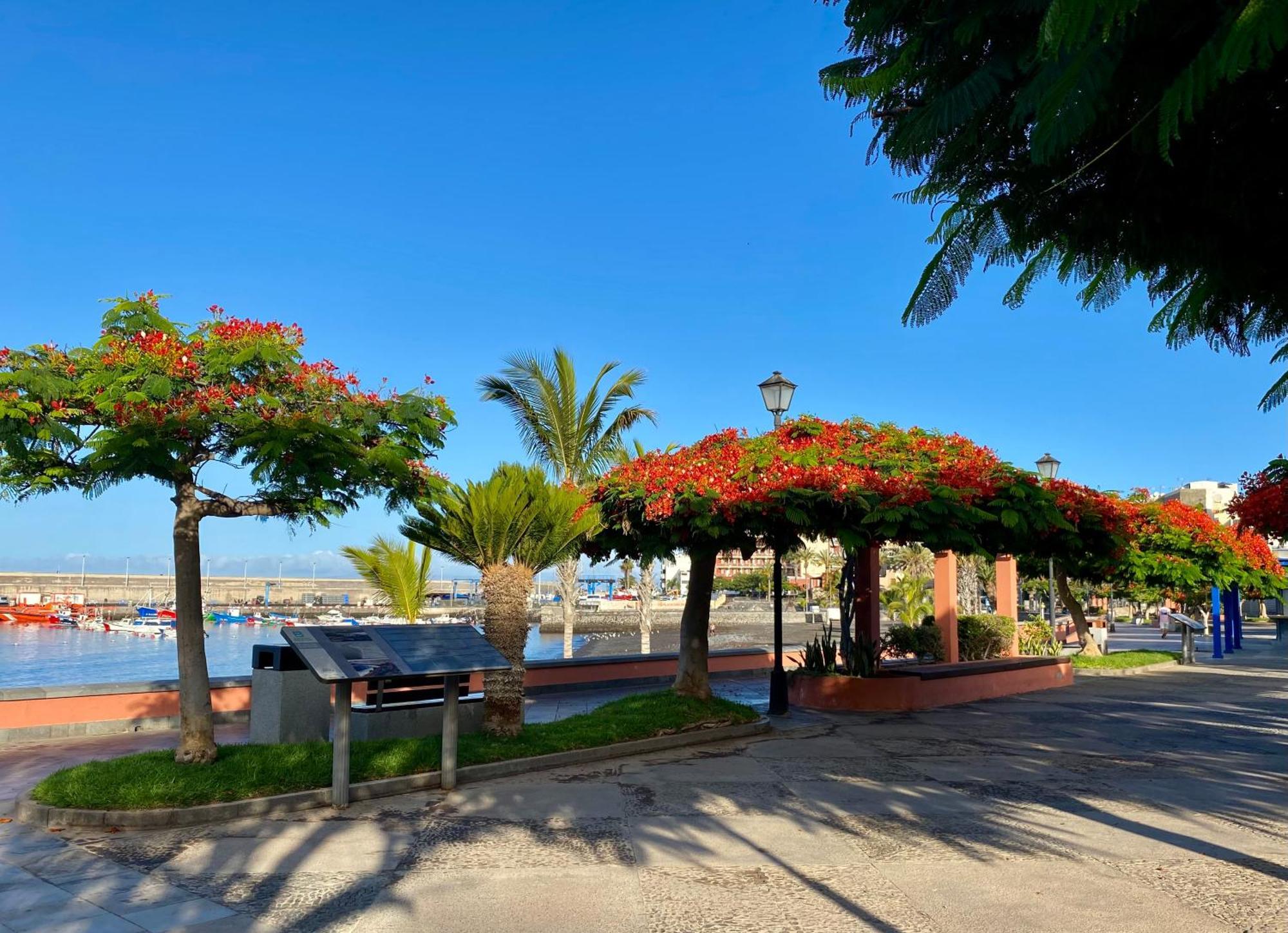 Casa Antonio - Apartamento Orion Playa de San Juan  Zewnętrze zdjęcie